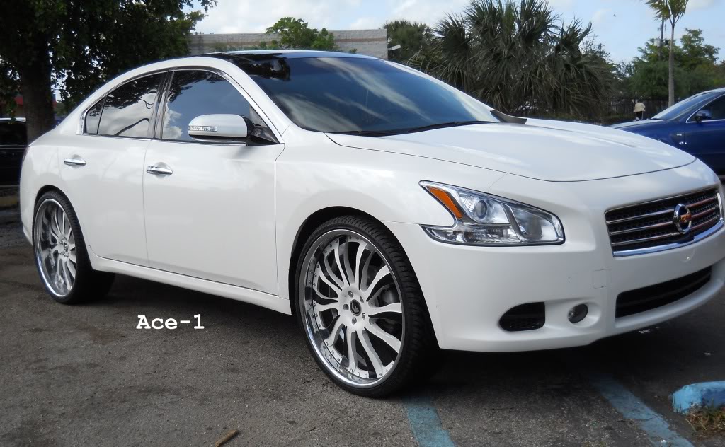 Nissan Maxima White