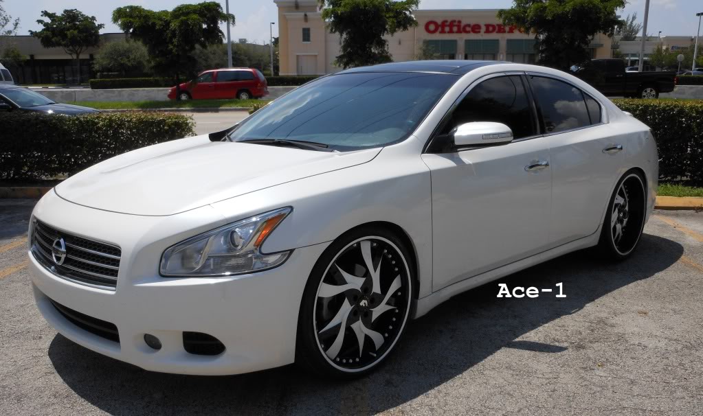 Nissan Maxima White
