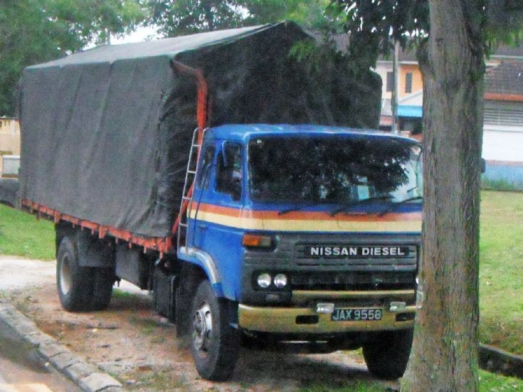 Nissan Ck