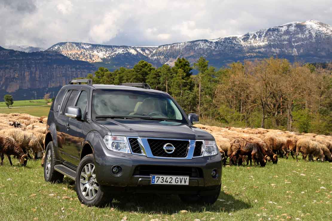 Nissan Pathfinder Dci