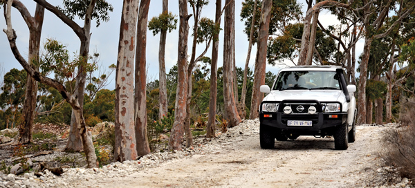 Nissan Patrol 4.8 Grx