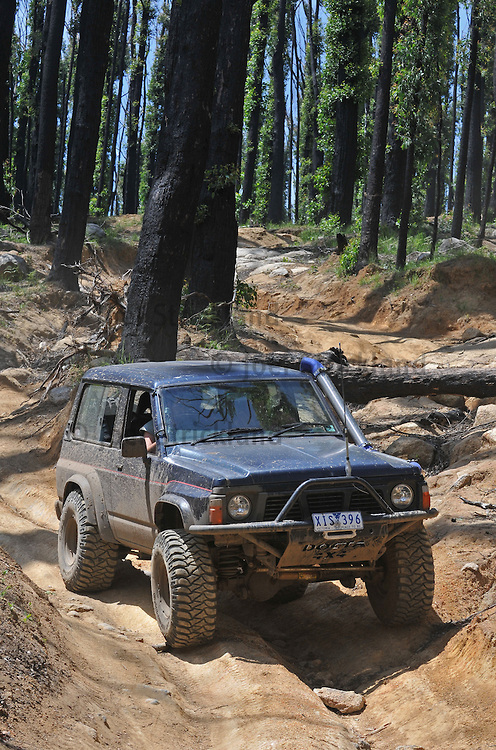 Nissan Patrol 4wd