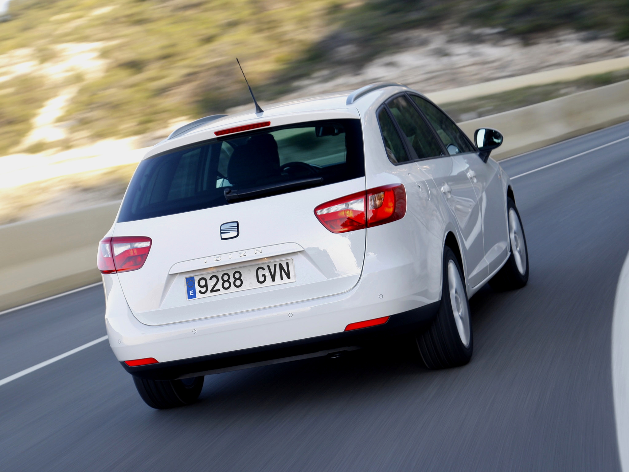 2010 Seat Ibiza