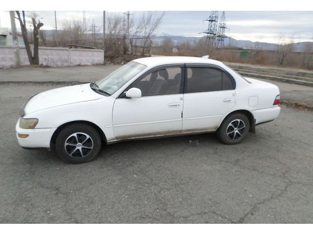 Toyota Corolla 1993