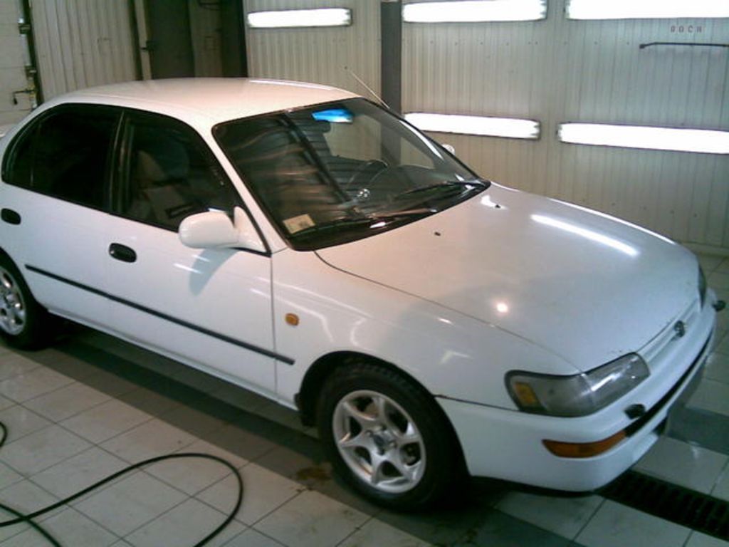 Toyota Corolla 1995 Manual