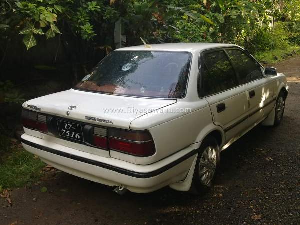 Toyota Corolla Ae91