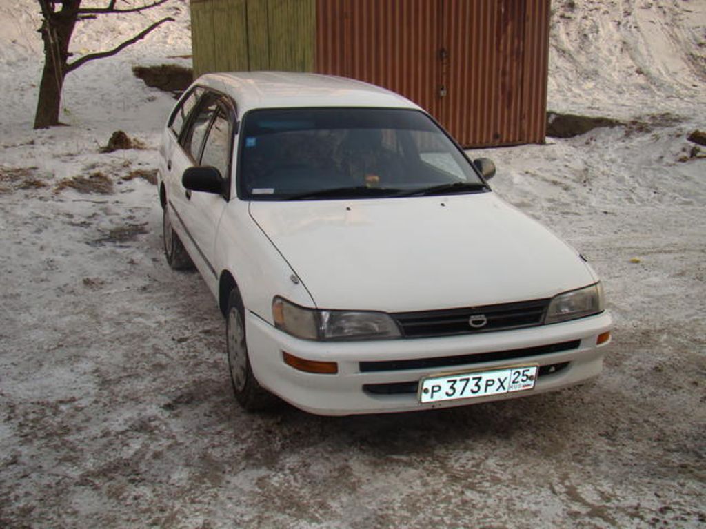 Toyota Corolla Wagon
