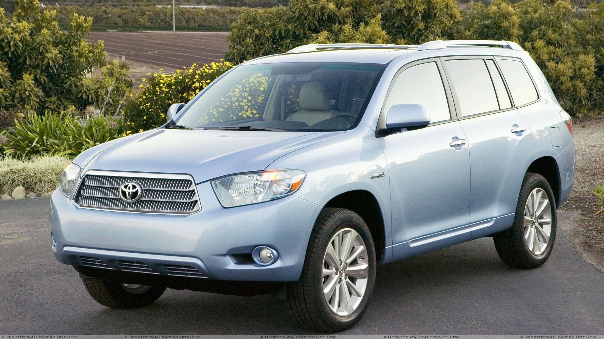Toyota Highlander Blue