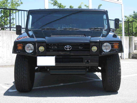 Toyota Megacruiser