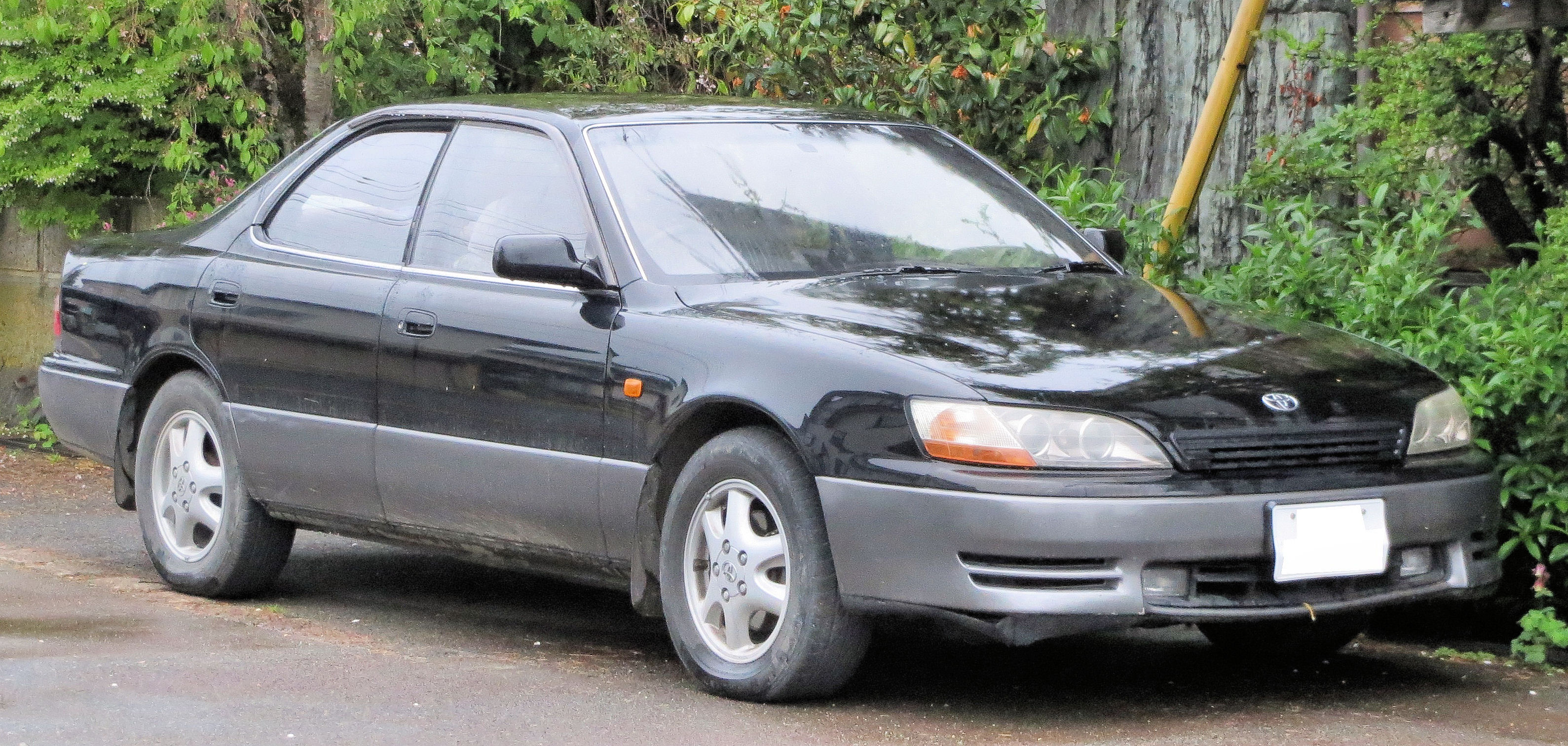 Toyota Windom