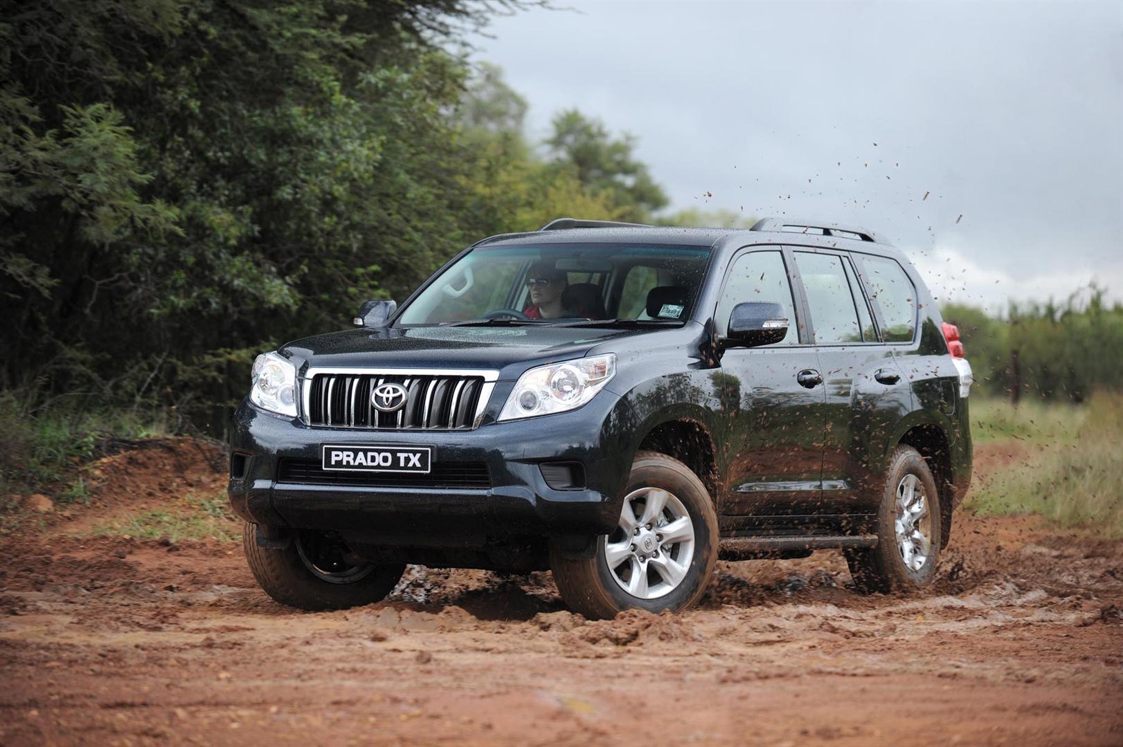 toyota prado tx