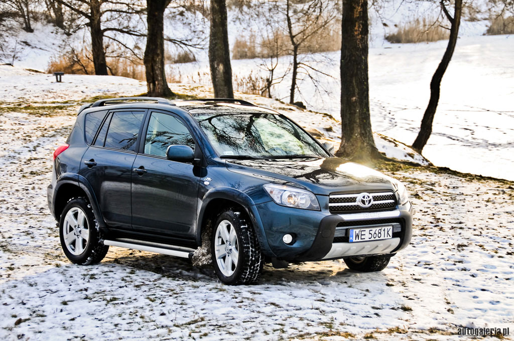Toyota Rav4 D-Cat