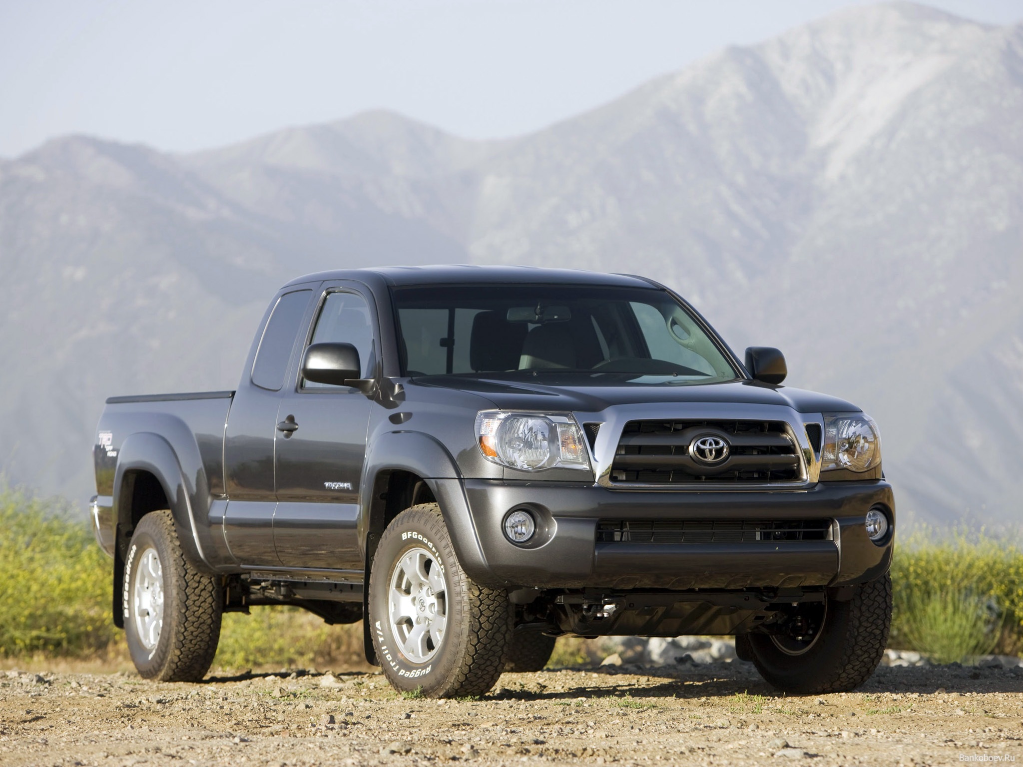 Toyota Tacoma 2010