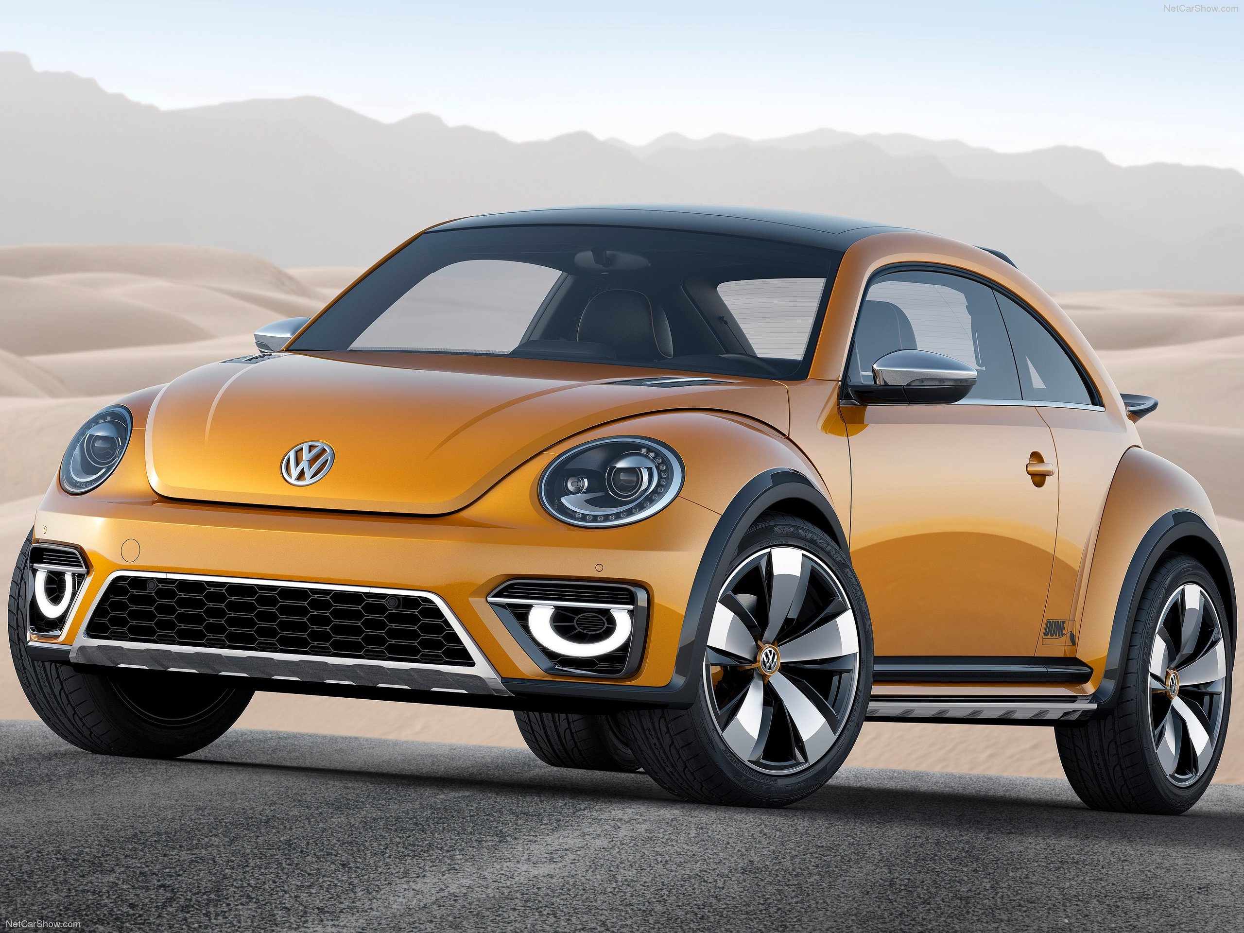 Volkswagen Beetle 2014