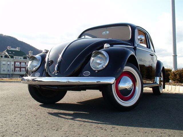 Volkswagen Beetle Bug