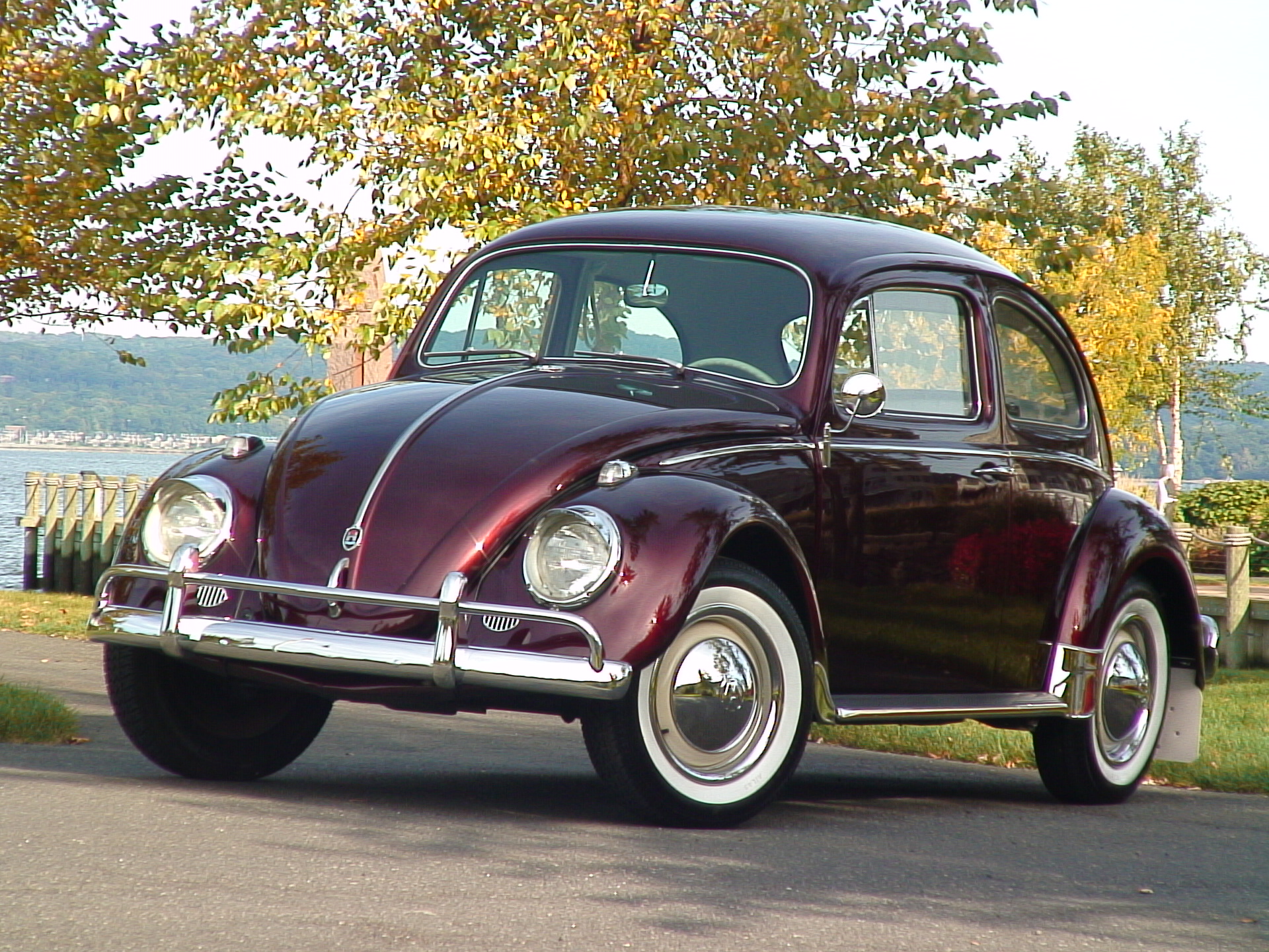 Volkswagen Beetle Classic