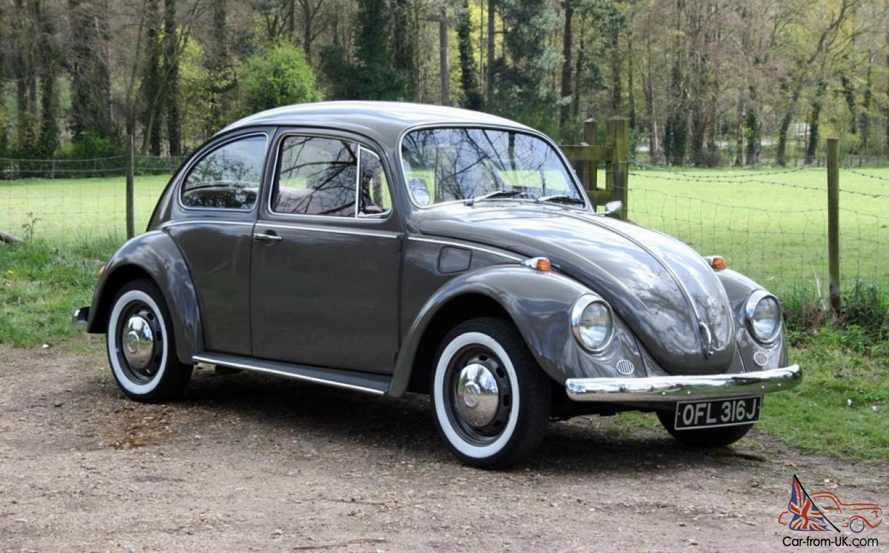 Volkswagen Beetle Grey