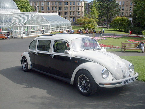 Volkswagen Beetle Limo