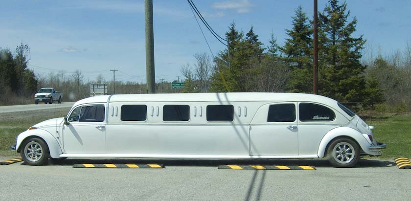 Volkswagen Beetle Limo