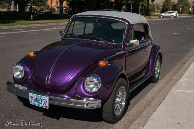 Volkswagen Beetle Purple
