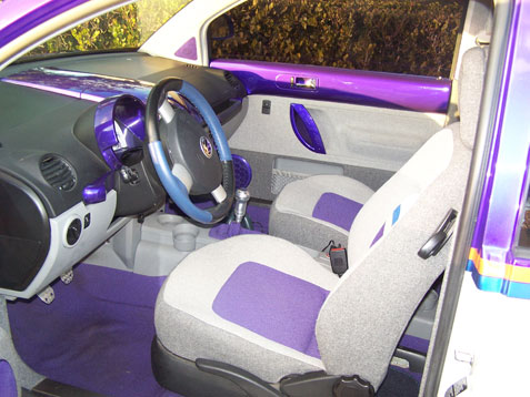 Volkswagen Beetle Purple