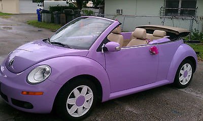 Volkswagen Beetle Purple