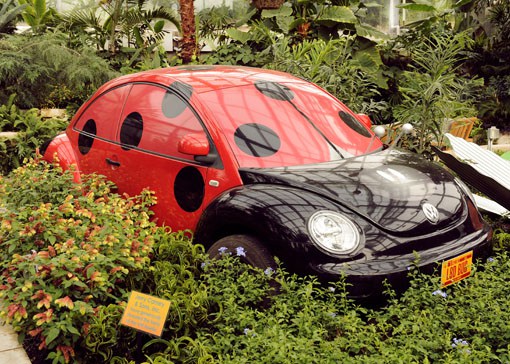 Volkswagen Beetle S