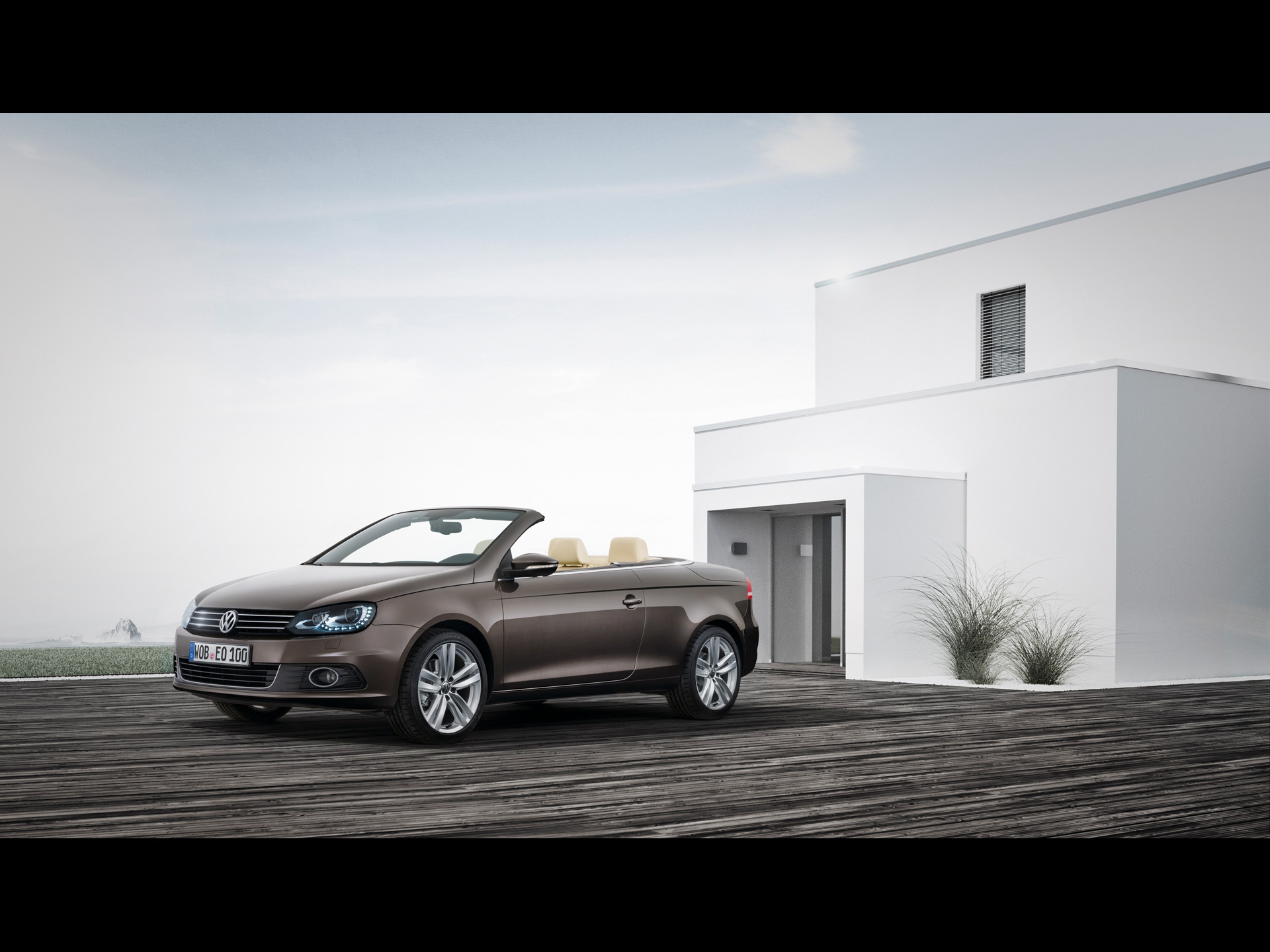 Volkswagen Eos Brown