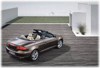 Volkswagen Eos Brown