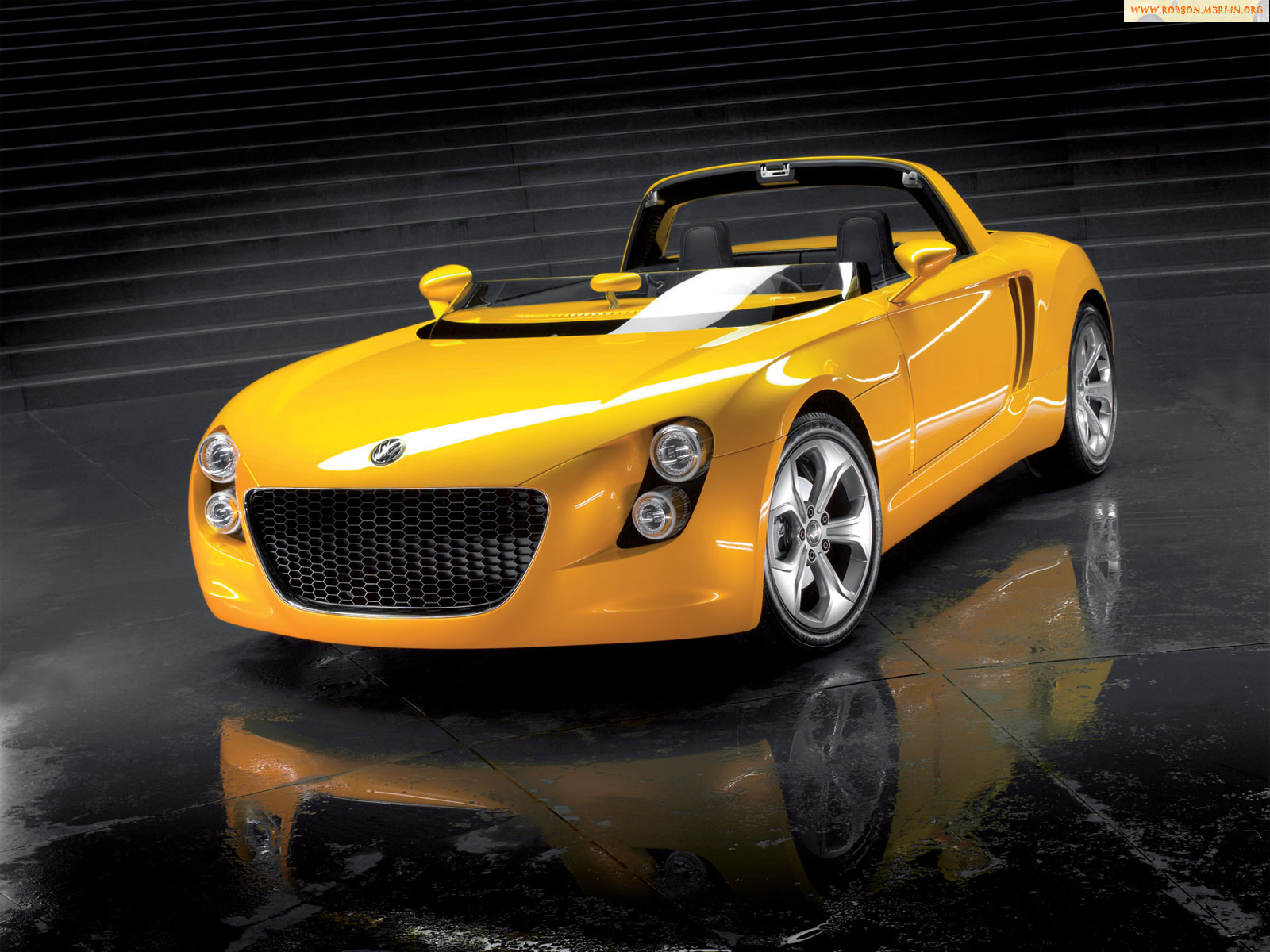 Volkswagen Sports Car