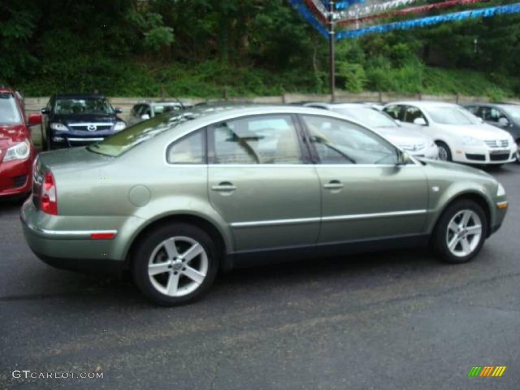 Volkswagen Passat Green