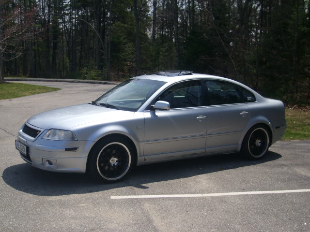 Volkswagen Passat Lowered