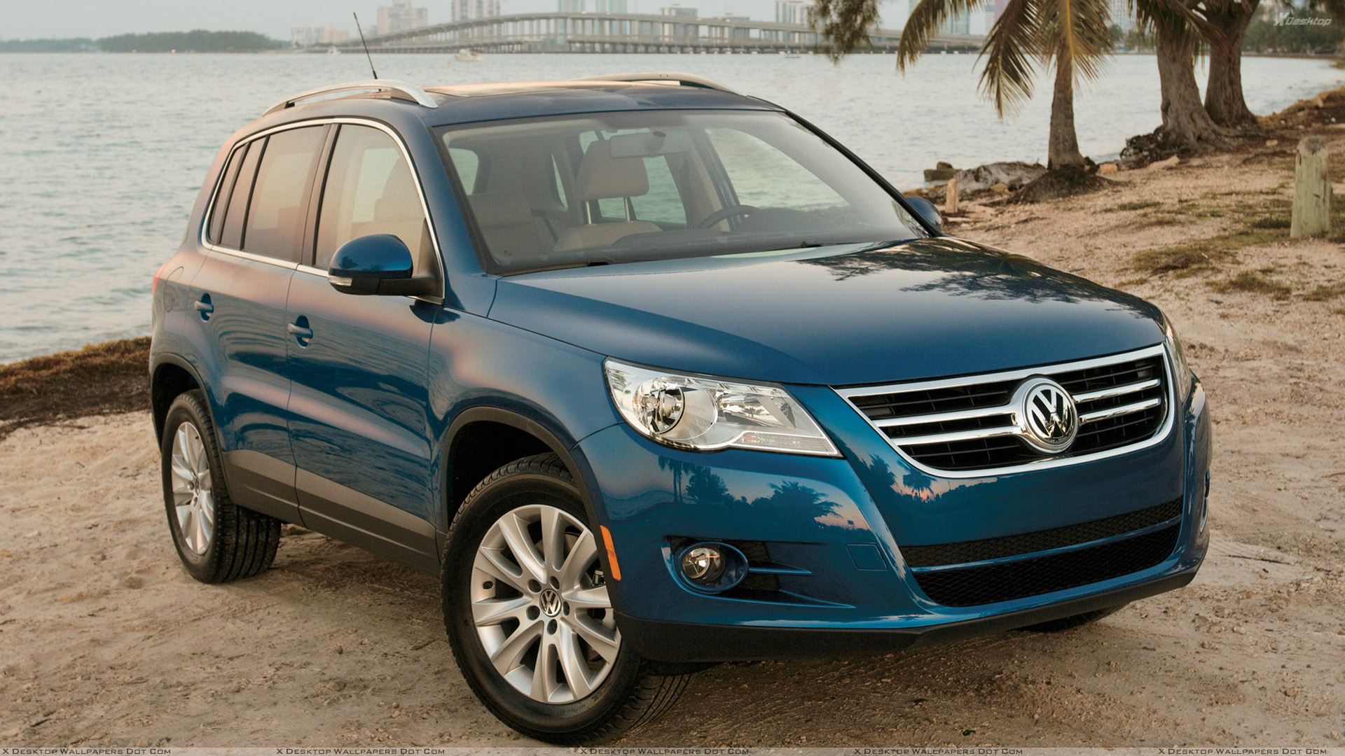 Volkswagen Tiguan Blue