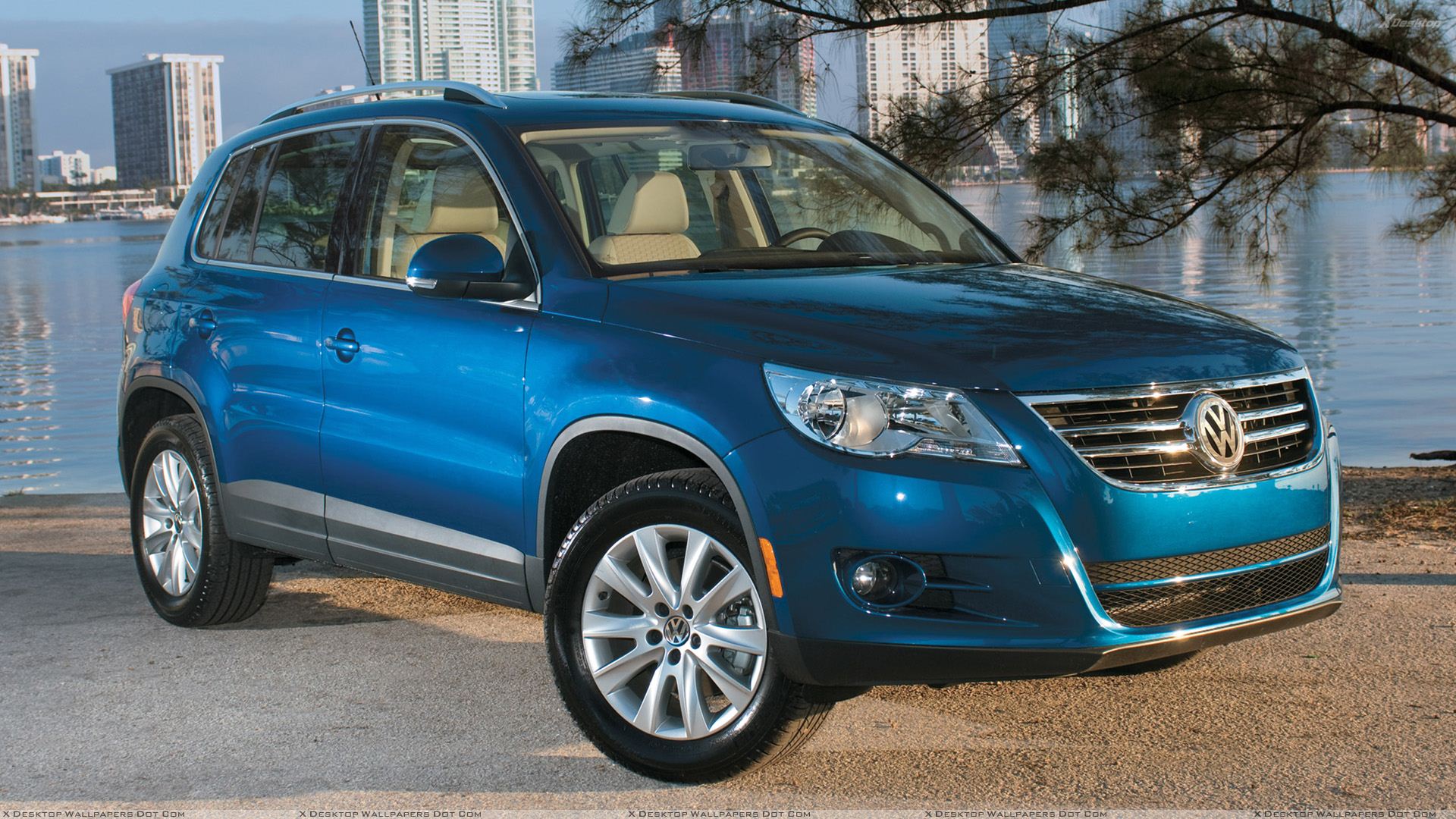 Volkswagen Tiguan Blue