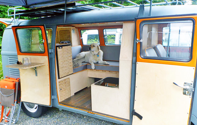 Volkswagen Van Bus