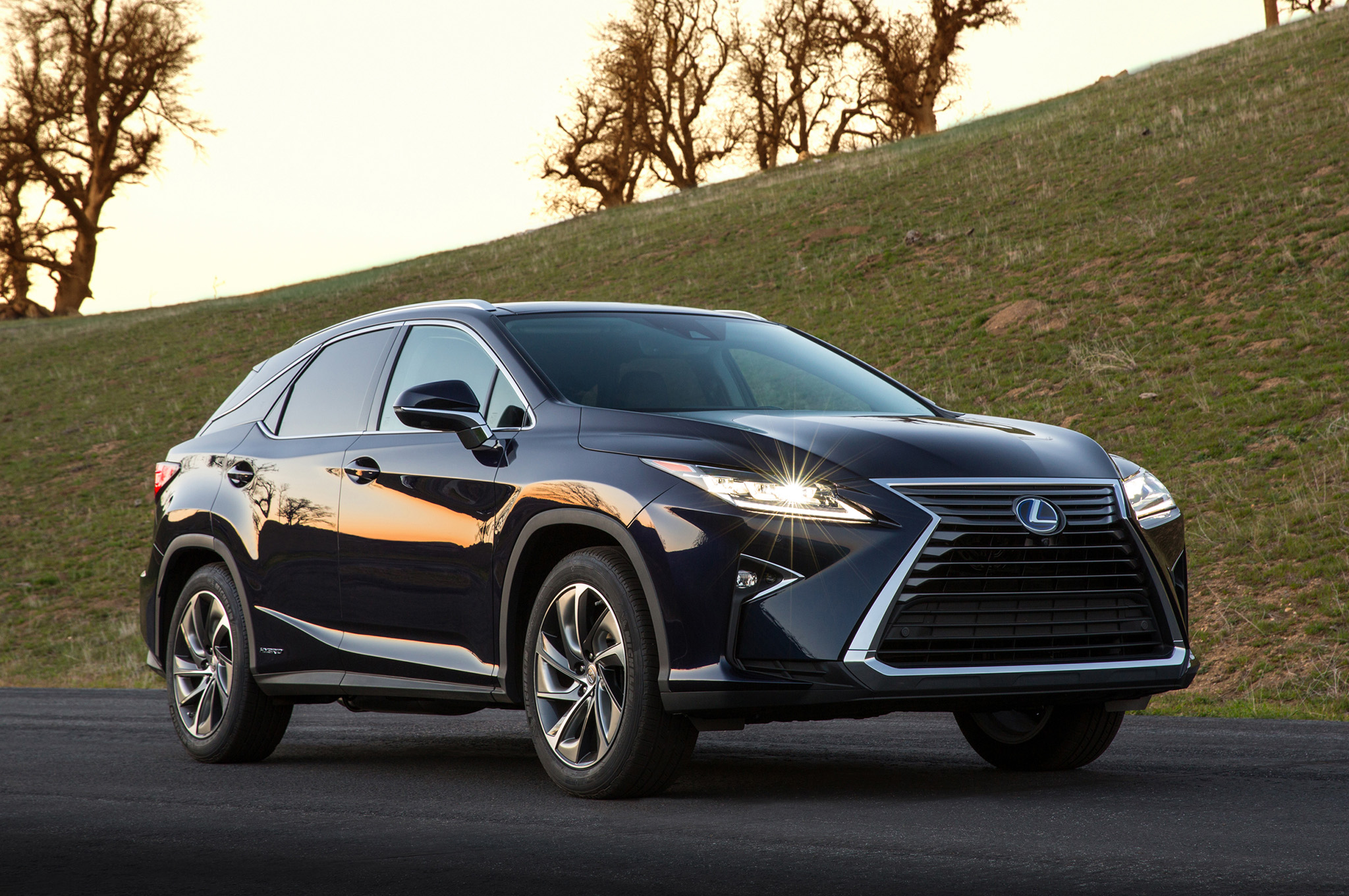 2016 Lexus Rx 350 black